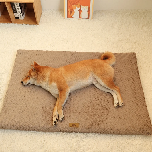 Orthopedic Memory Foam Dog Bed With Removable, Washable & Waterproof Liner