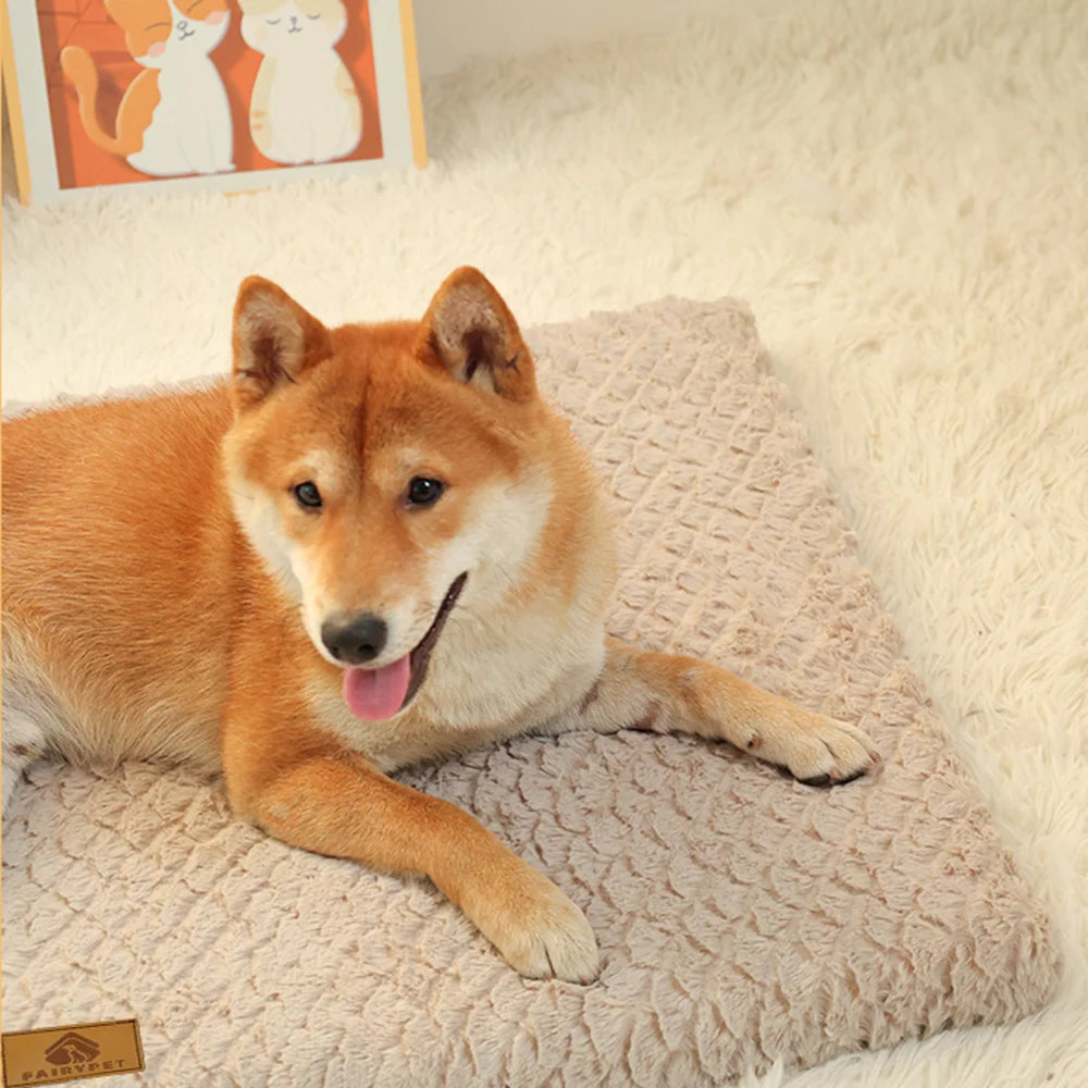 Orthopedic Memory Foam Dog Bed With Removable, Washable & Waterproof Liner